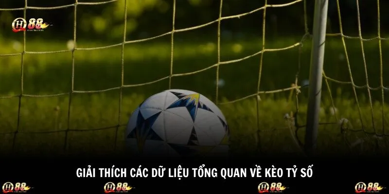 Giải thích các dữ liệu tổng quan về kèo tỷ số